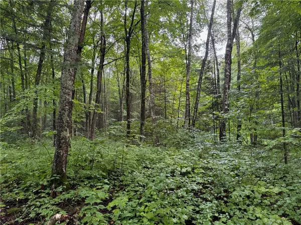 Lot 2 Scheers Road, Hayward, WI 54843