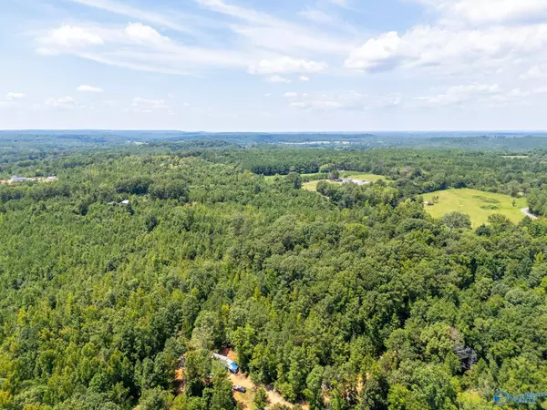 Lot 4 Curry Chapel Road, Somerville, AL 35670