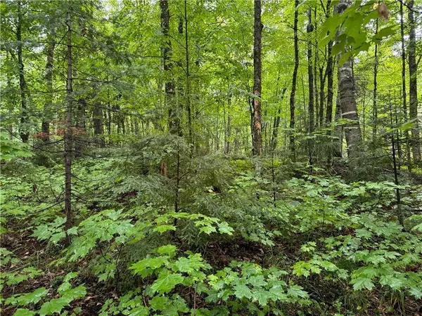 Lot 3 Scheers Road, Hayward, WI 54843