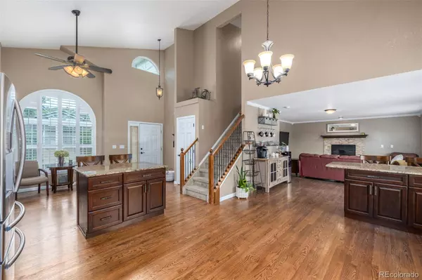 1506 Chadderton CT, Colorado Springs, CO 80907