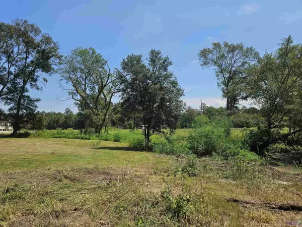 TBD LA HWY 931, Prairieville, LA 70769