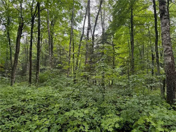 Lot 2 Scheers Road, Hayward, WI 54843