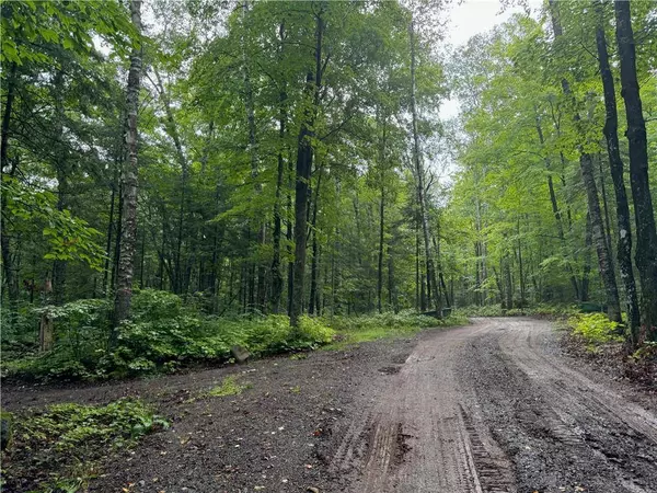 Lot 2 Scheers Road, Hayward, WI 54843
