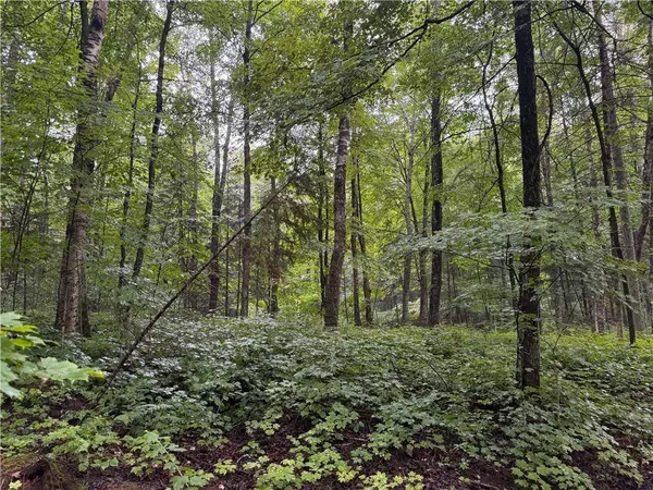 Lot 2 Scheers Road, Hayward, WI 54843