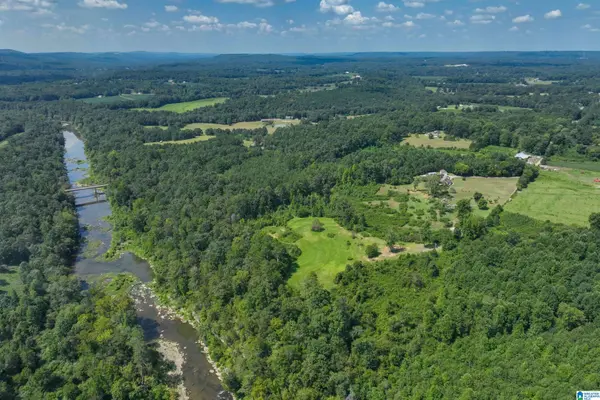 715 COUNTY ROAD 542, Hanceville, AL 35077