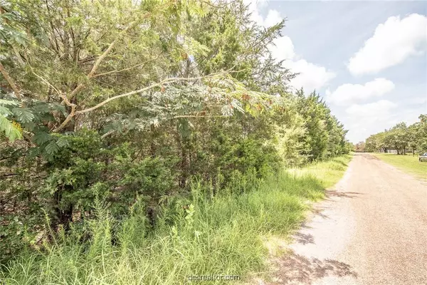 Lot 92 Lois Lane ST, Somerville, TX 77879