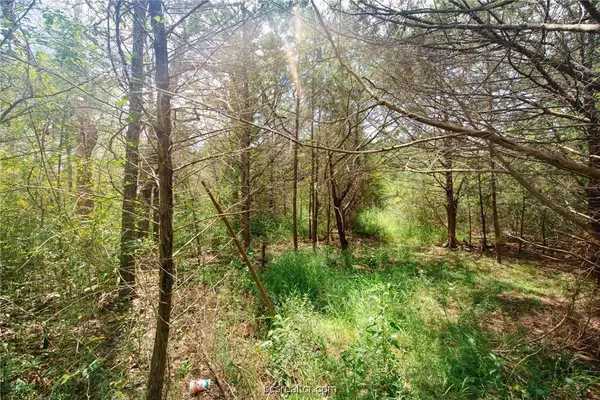 Lot 92 Lois Lane ST, Somerville, TX 77879