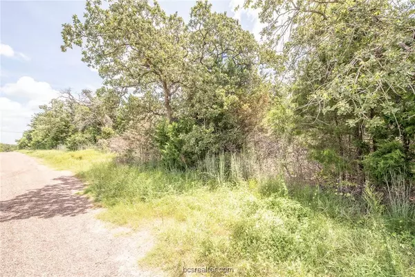 Lot 92 Lois Lane ST, Somerville, TX 77879