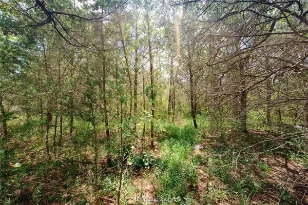 Lot 92 Lois Lane ST, Somerville, TX 77879