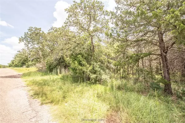 Lot 92 Lois Lane ST, Somerville, TX 77879