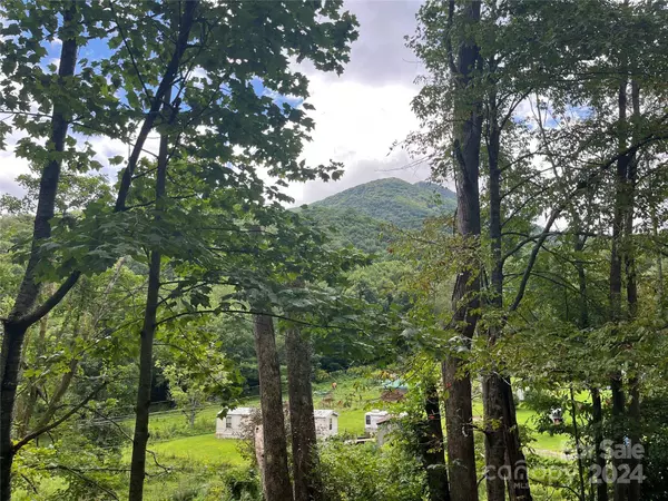 1146 Peak RD, Creston, NC 28615