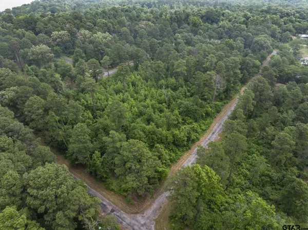 Lot R4 Big Pine Estates, Scroggins, TX 75480