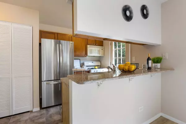 273 W BROADMOOR CT, Palatine, IL 60067