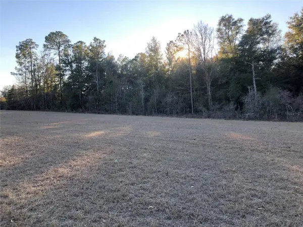 Leg Lot 20 SUWANEE WOODLAND #2, O Brien, FL 32071