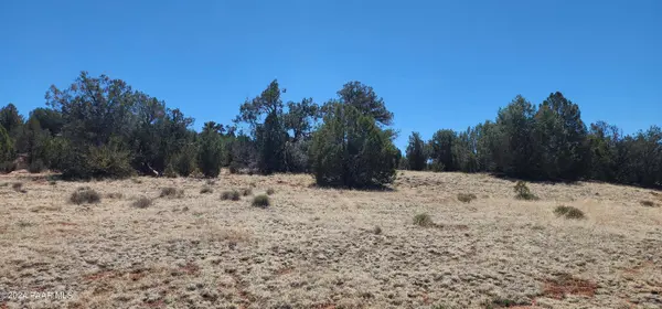 00 Wooden Ear Ranch Road, Seligman, AZ 86337