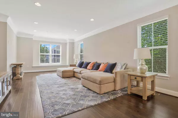 1717 13TH RD S, Arlington, VA 22204