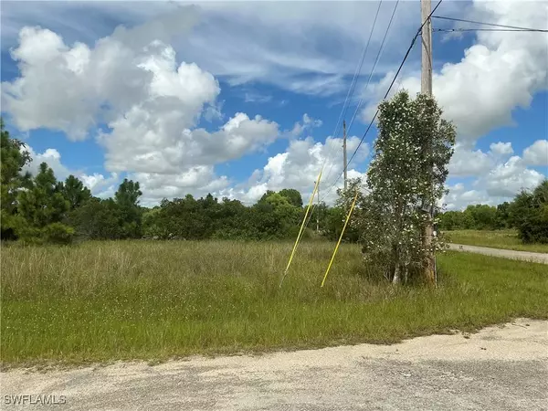 826 Brazos ST E, Lehigh Acres, FL 33974