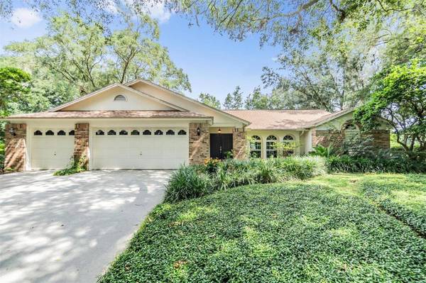 3901 BLUE MAIDENCANE PL, Valrico, FL 33596