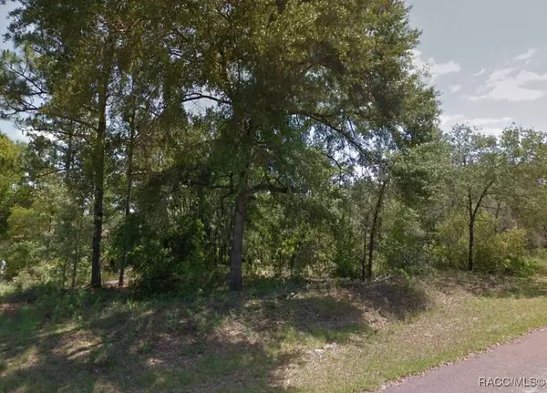 2963 W Juliet PL, Citrus Springs, FL 34433