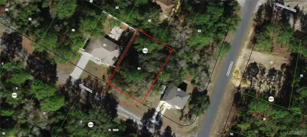 2963 W Juliet PL, Citrus Springs, FL 34433