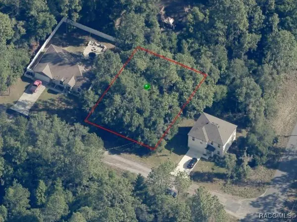 2963 W Juliet PL, Citrus Springs, FL 34433