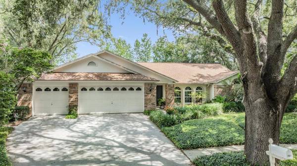3901 BLUE MAIDENCANE PL, Valrico, FL 33596