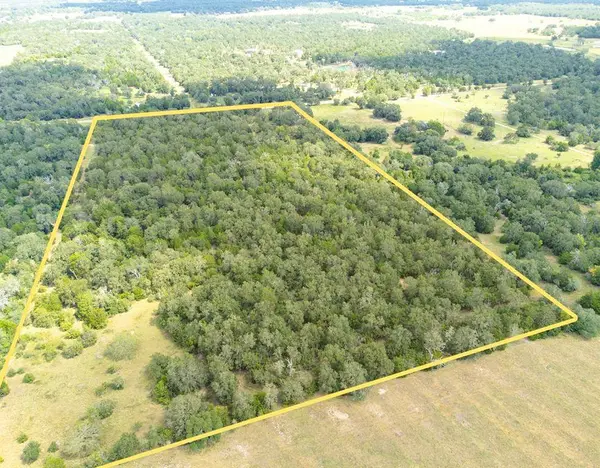 1973 County Road 132, Hallettsville, TX 77964