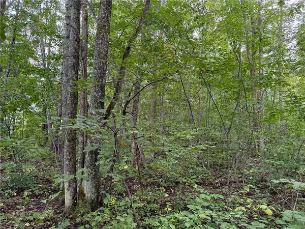 4.752 acres on Gurno Lake Road, Hayward, WI 54843