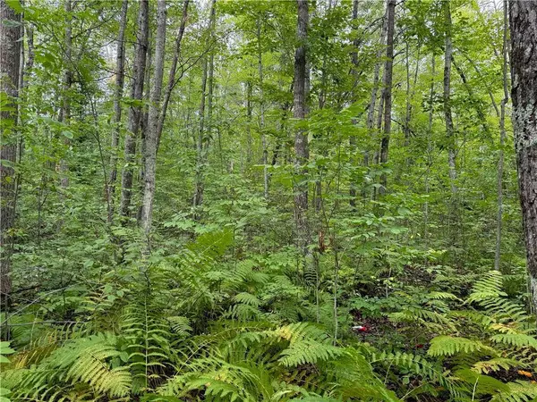 4.752 acres on Gurno Lake Road, Hayward, WI 54843