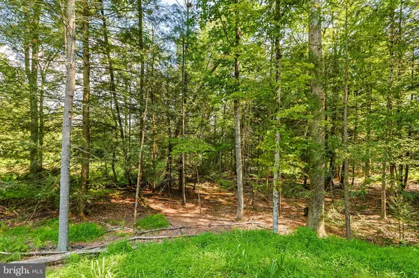 2217 CHURCH VIEW DR, Stroudsburg, PA 18360