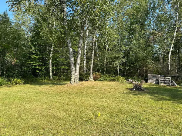 6931 N Pike Haven RD, Winter, WI 54896