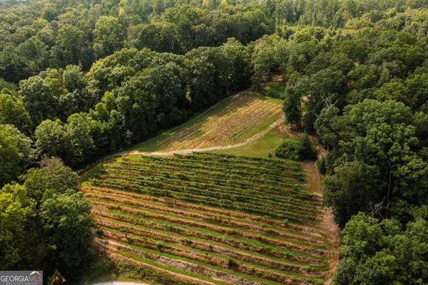 9975 BALL GROUND HWY, Ball Ground, GA 30107