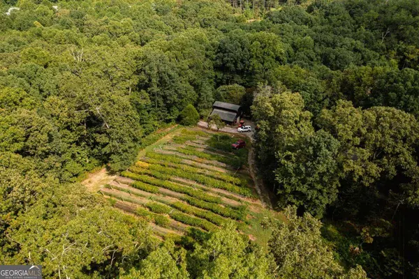 9975 BALL GROUND HWY, Ball Ground, GA 30107