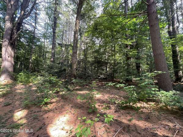 2068 South Shore Road, Galway, NY 12074