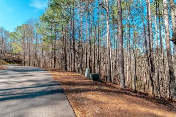 LOT 52 Mountain Creek Hollow DR, Talking Rock, GA 30175
