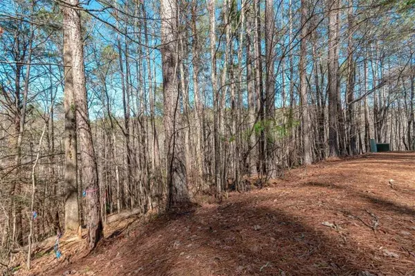 LOT 52 Mountain Creek Hollow DR, Talking Rock, GA 30175