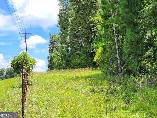 0 Old River RD, Uvalda, GA 30473