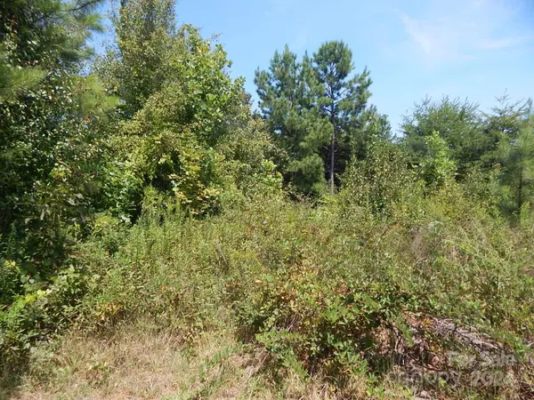 2127 Quarter Crest DR, Newton, NC 28658