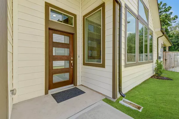 263 S Spotted Fern DR, Montgomery, TX 77316