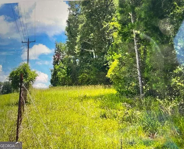 0 Old River RD, Uvalda, GA 30473