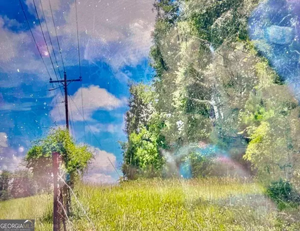 0 Old River RD, Uvalda, GA 30473