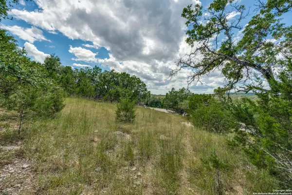 6005 CREEKWOOD PASS, Spring Branch, TX 78070