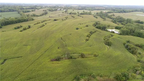 Y HWY, Spickard, MO 64679