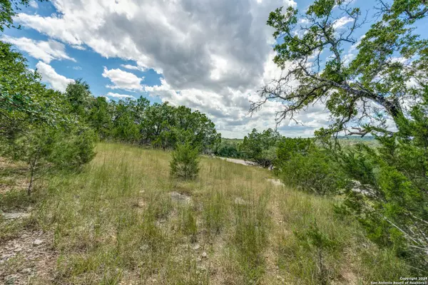 6005 CREEKWOOD PASS, Spring Branch, TX 78070