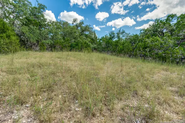 6005 CREEKWOOD PASS, Spring Branch, TX 78070
