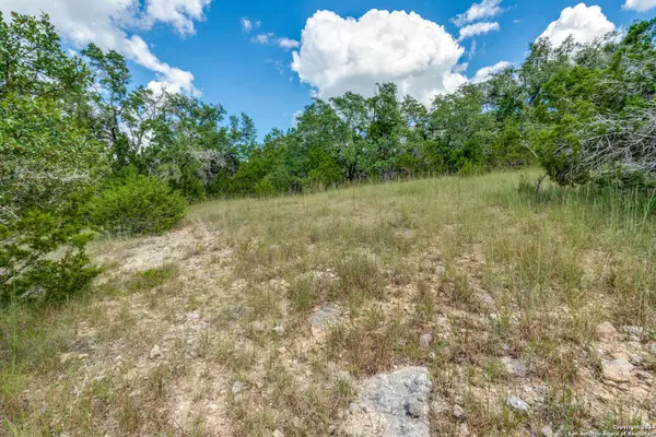 6005 CREEKWOOD PASS, Spring Branch, TX 78070