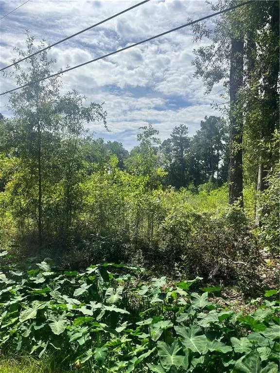 36428-34 SIGRED LN, Slidell, LA 70460