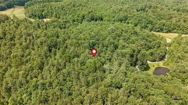 9.3AC Canaan RD, Ellijay, GA 30540