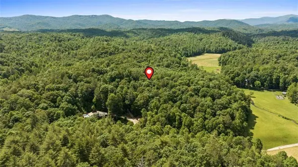 9.3AC Canaan RD, Ellijay, GA 30540