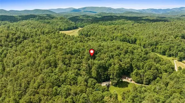 9.3AC Canaan RD, Ellijay, GA 30540